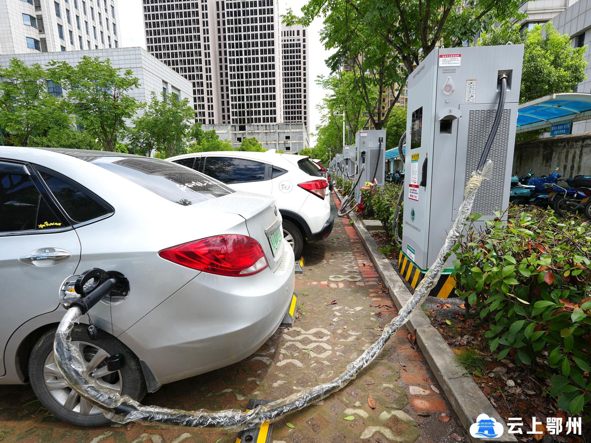 电车99新